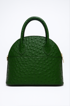 IVYGREEN