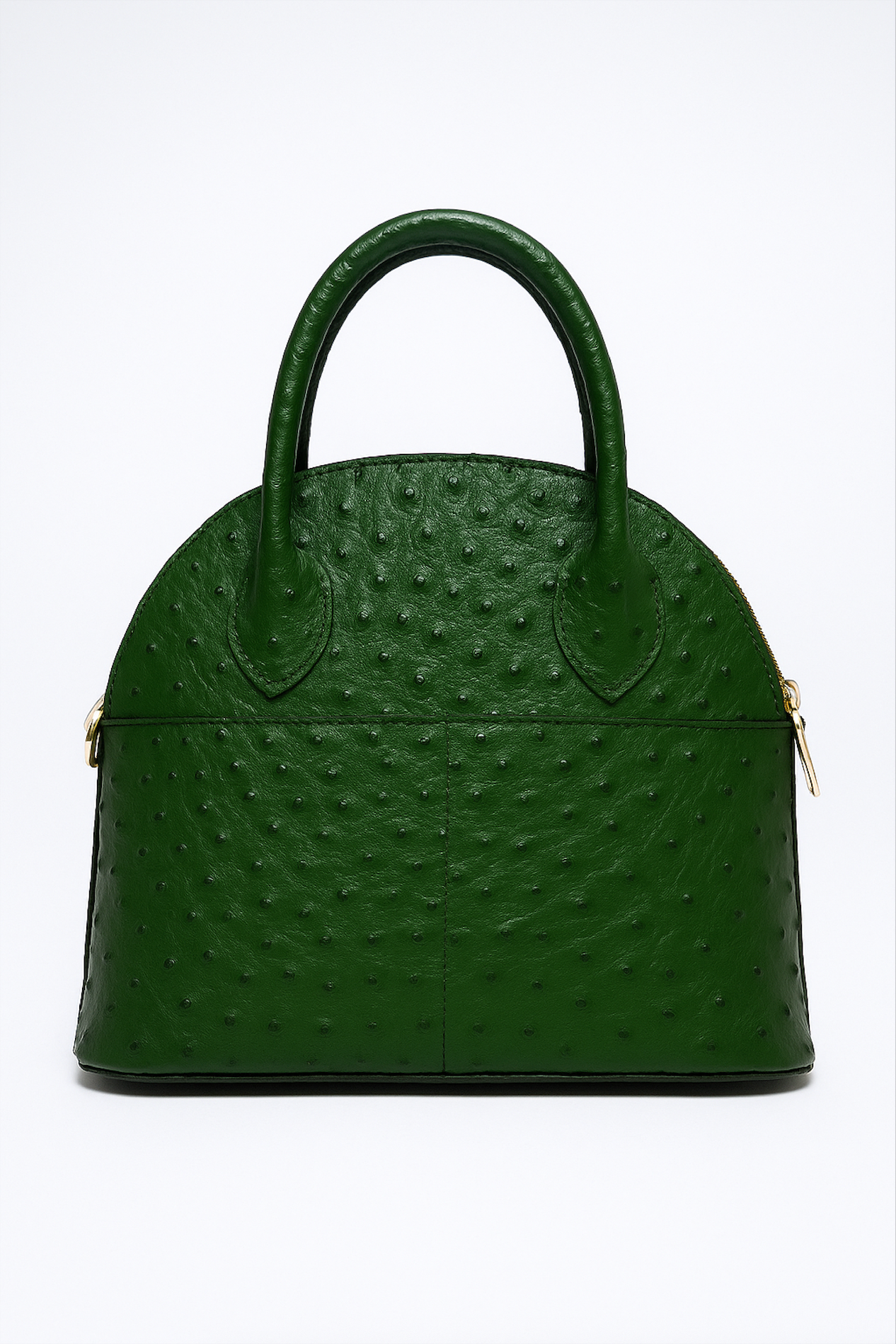 IVYGREEN